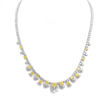 Premium collection プレミアム コレクション