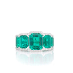Premium collection Emerald Ark