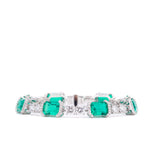 Premium collection Emerald Ark プレミアム コレクション エメラルドアーク