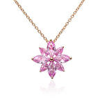 THE MIRA Lumière Star