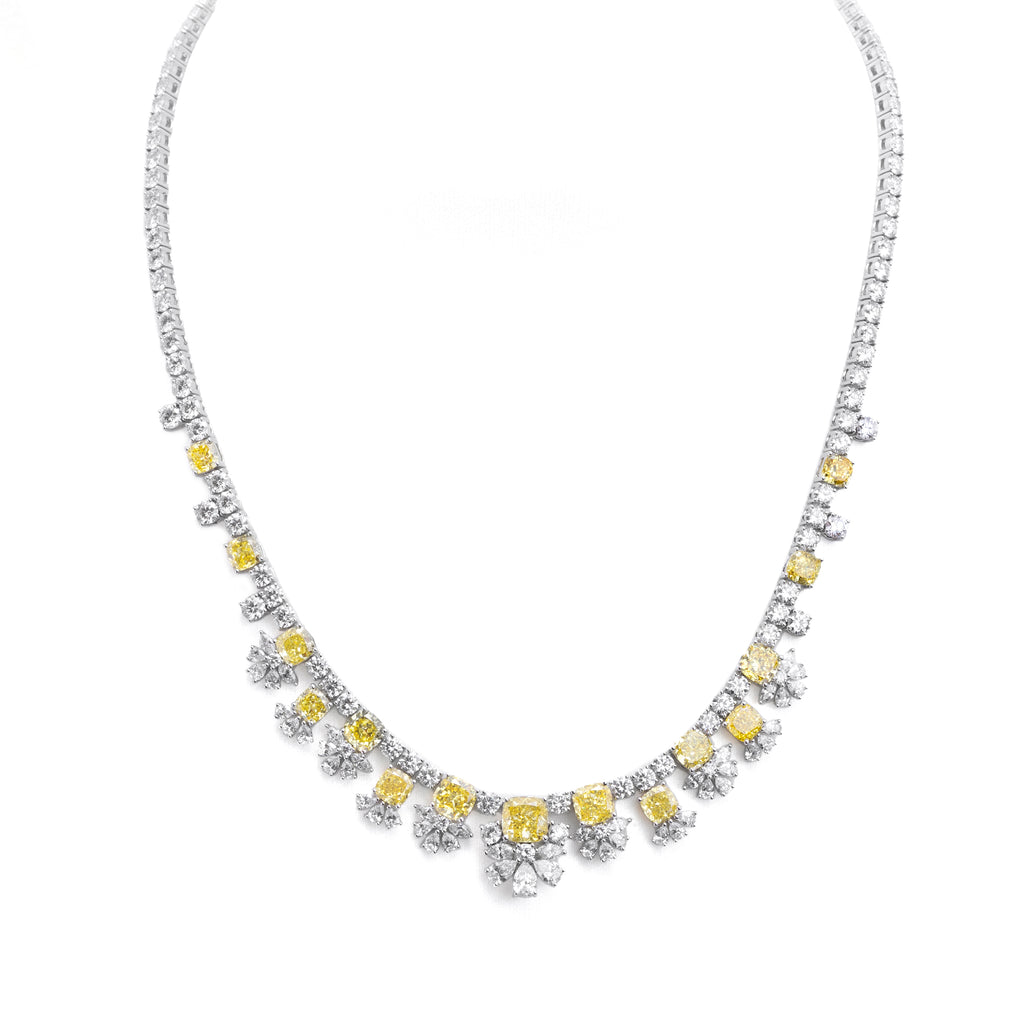 Premium collection プレミアム コレクション