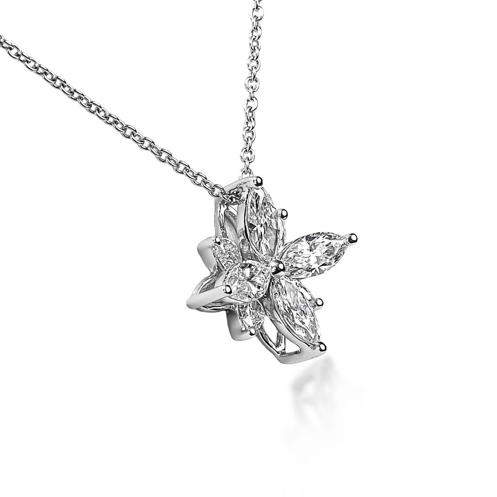 THE MIRA Lumière Star ザ・ミラ ルミエール スター