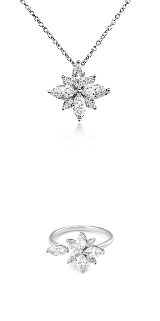 THE MIRA Lumière Star SET 