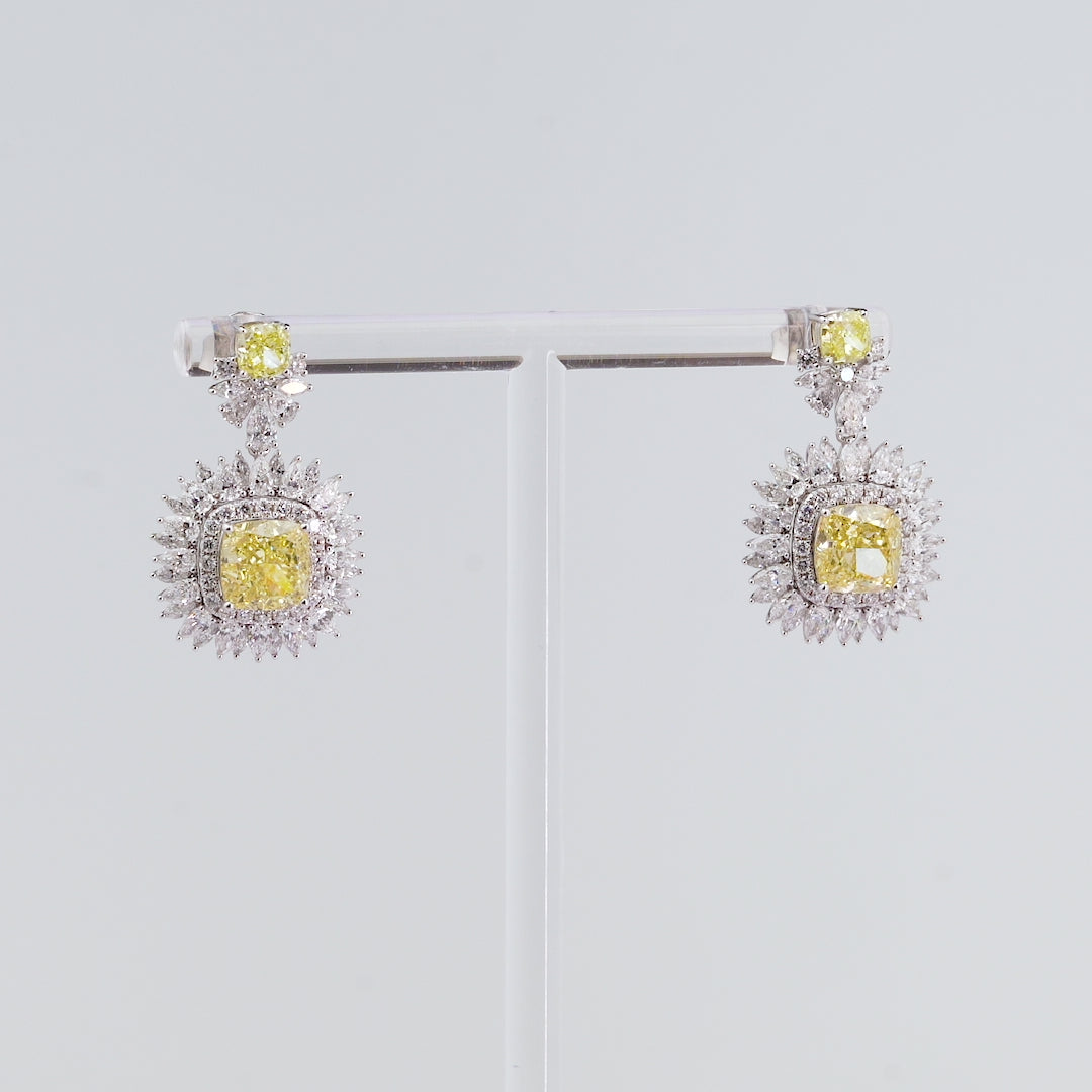 Premium collection プレミアム コレクション